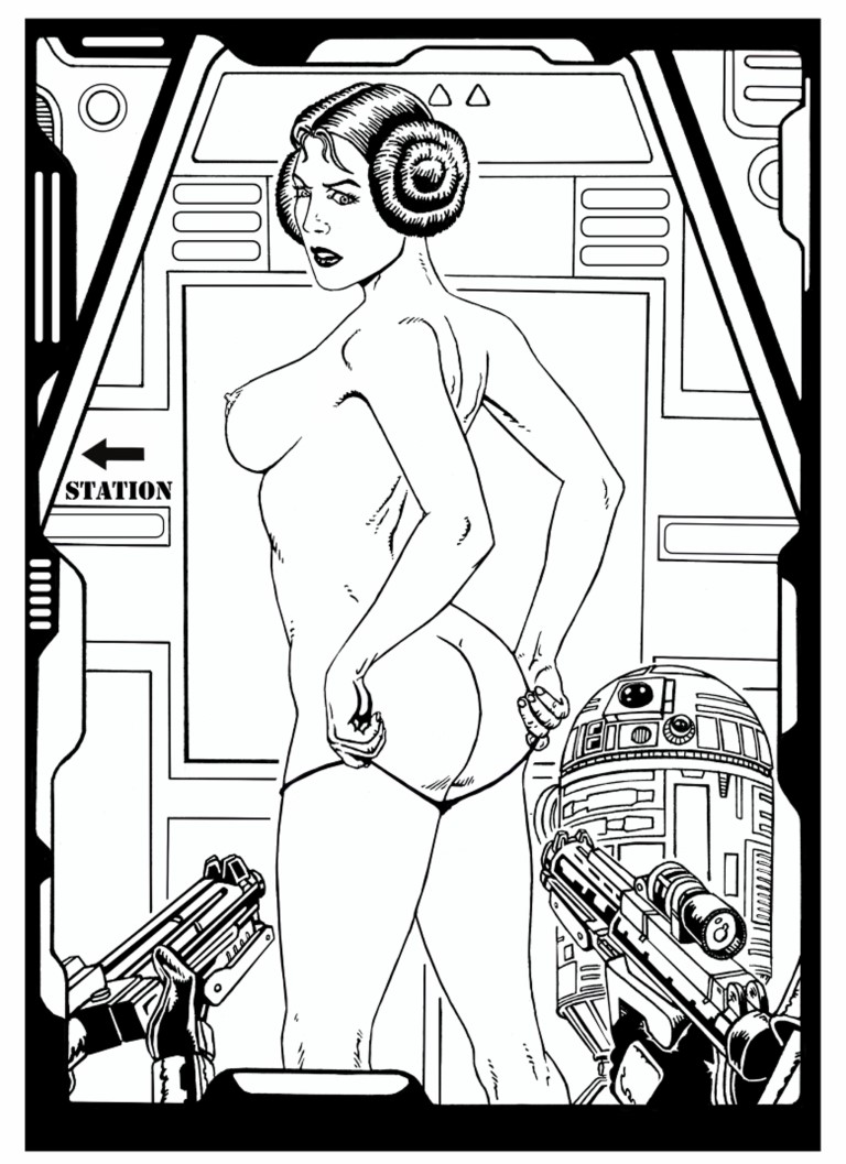 Princess Leia Sexy Pin up